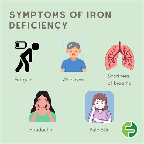 Iron and Irritable Bowel Syndrome | FODMAP Friendly