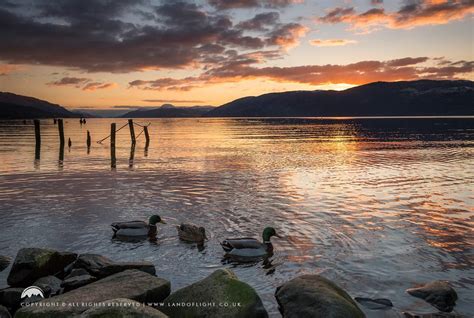 Loch Ness Sunset with the Ducks, Dores | Scenery, Sunset, Sunrise