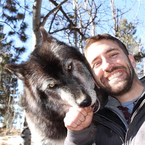 Wolf sanctuary in Colorado. I had no idea how huge wolves were until I saw one in person. : r/pics