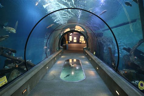 Open Sea & Shark Tunnel - Oregon Coast Aquarium