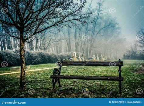 Spooky cemetery in fog stock image. Image of horrifying - 128857689