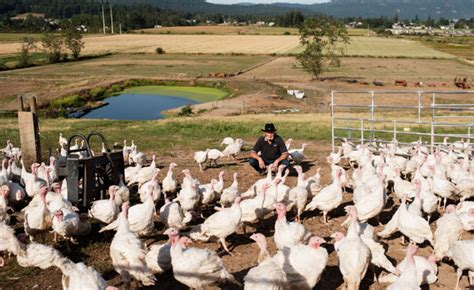 Living Off the Land - Ireland Farms: Science: The Formula for a ...