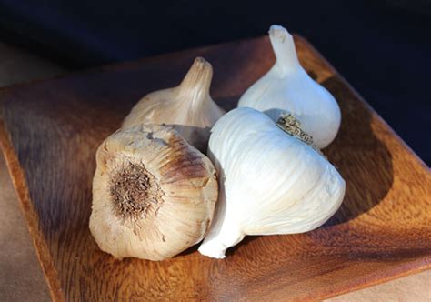 Black garlic – Wellness | Plant Based