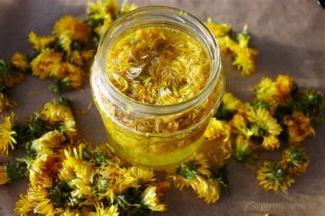 Wild and Delicious Dandelion Jelly recipe - SimplyBeyondHerbs