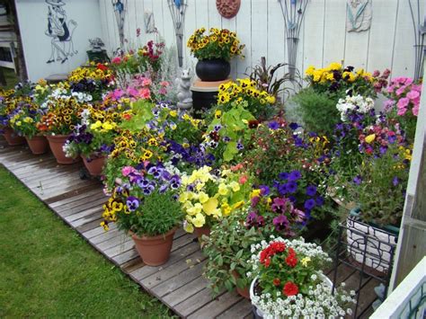 Small-Space Gardening Idea Uses A Trellis To Grow Vegetables Vertically ...