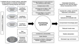 Overtraining Syndrome - Physiopedia