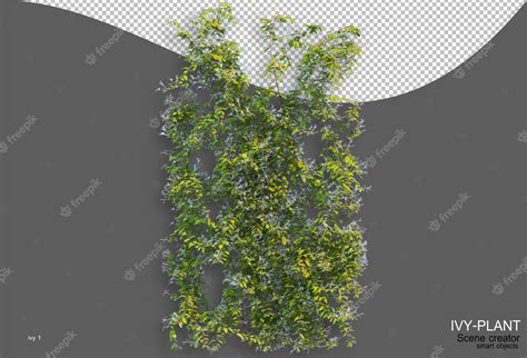 Premium PSD | Rendering of ivy arrangement variety of styles