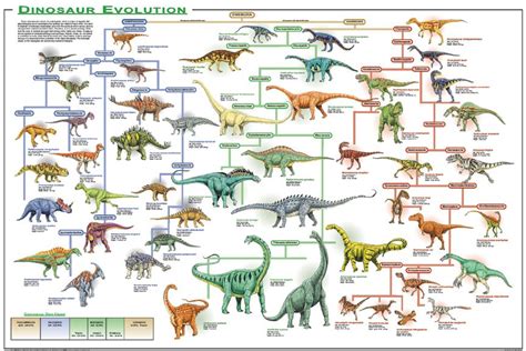 Dinosaur Evolution educational poster Aids Poster, Poster Art, Cool ...