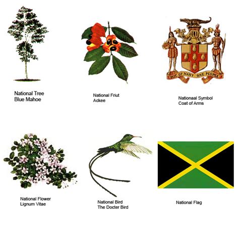 6 National Symbols Every Jamaican Should Know