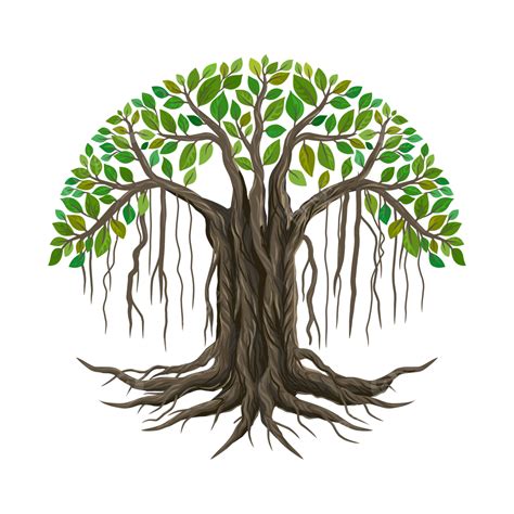 Ancient Banyan Tree And Roots Vector, Banyan Tree, Roots, Tree PNG and ...