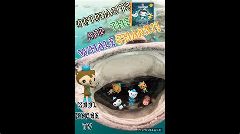 Octonauts Whale Shark Mouth - Rwanda 24