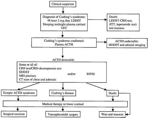 A diagnostic approach to the diagnosis and differential diagnosis of ...