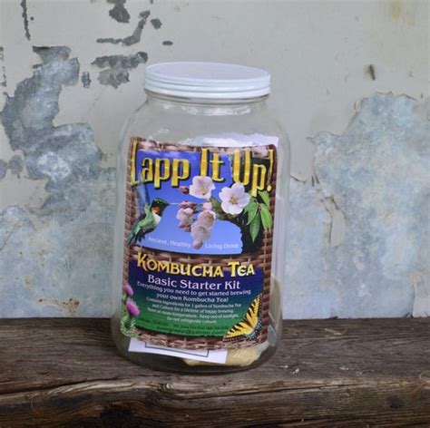 Kombucha Starter Kit with Scoby raw food probiotic health