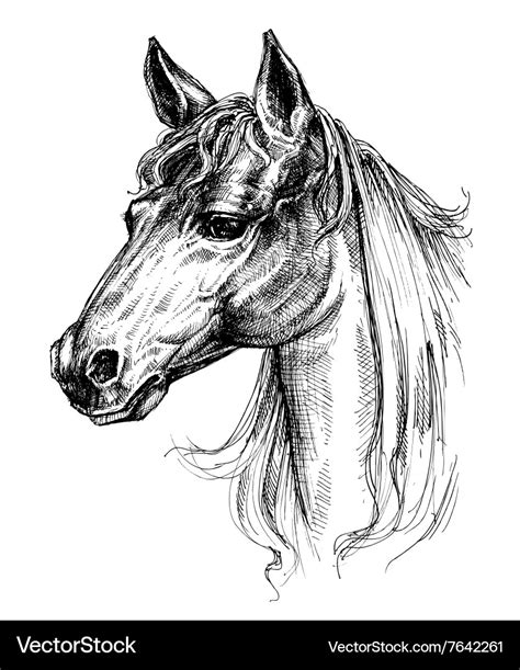 Incredible Compilation of Full 4K Horse Drawing Images: Over 999+ Exceptional Horse Drawing Images