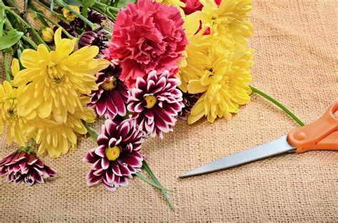 How to Make Cut Flowers Last Longer