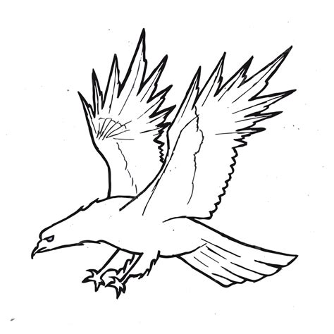 The Eagle Sketch Outline, Outline Drawing, Outline Sketch, Eagle PNG ...