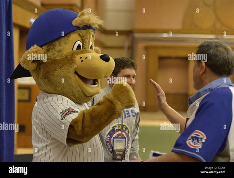 Chicago Cubs mascot Clark greets fans at the 29th Annual Cubs ...