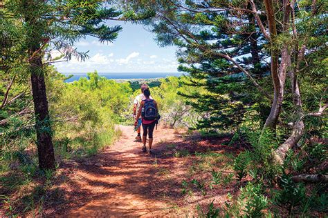 Maui Wild West | Hiking Kapalua Maui