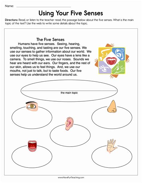 Sensory Details Worksheets Printable