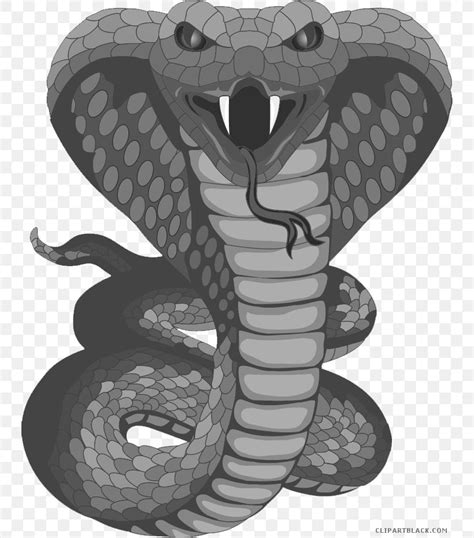 Snakes Tattoo King Cobra Clip Art, PNG, 746x932px, Snakes, Black And ...