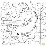 Catfish Coloring Pages Printable sketch template