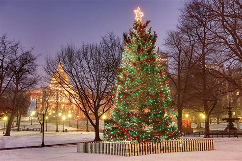 Why Does Boston Still Accept a Christmas Tree from Nova Scotia?