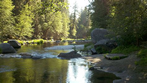 Wawona Campground, Yosemite National Park Yosemite National Park ...