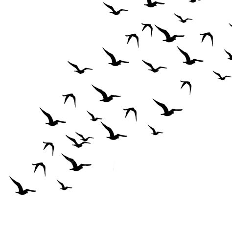 Flying Birds, Flying Bird, Birds Fly, Irds Birds Shi PNG Transparent Clipart Image and PSD File ...