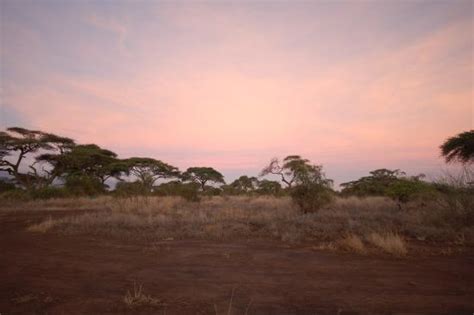 Sentrim Amboseli Lodge - UPDATED 2018 Prices, Reviews & Photos ...