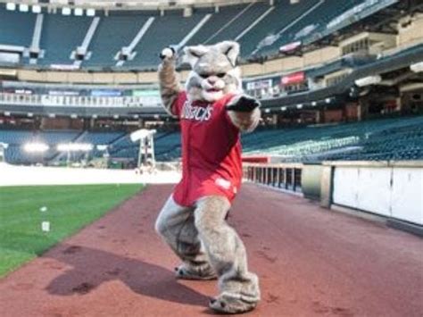 Arizona Diamondbacks want to hire new mascot