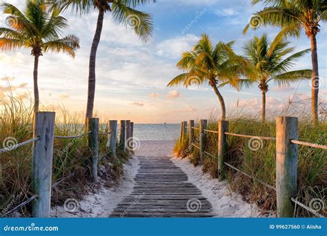 Footbridge to the beach stock photo. Image of tourism - 99627560