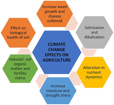 Frontiers | Climate Change and Salinity Effects on Crops and Chemical Communication Between ...