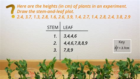 How to graph a Stem-and-Leaf Plot - YouTube