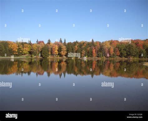 Fall foliage in Pennsylvania Stock Photo - Alamy