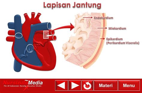 23+ Gamabar Jantung, Inspirasi Penting!