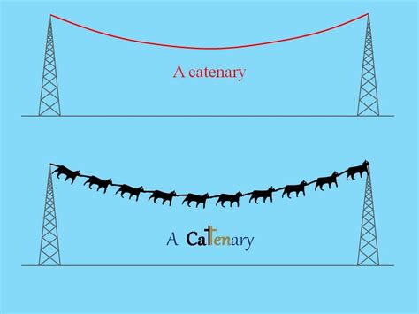 A tale of two catenaries : r/MathJokes