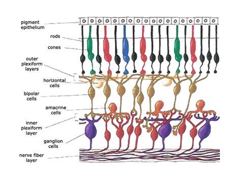 SwitchBoard - VisionResearch4You