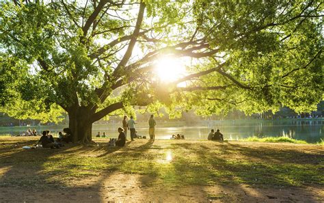 Os 10 melhores parques de São Paulo - CicloVivo