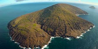 Shark Diving at Snake Island & Round Island - Mauritius Attractions