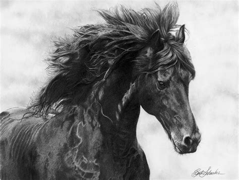 “Midnight Thunder” - Barbara Schacher | Western Artist | Newport, WA