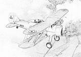 Biplane Coloring Page Printable Sketch sketch template