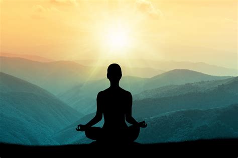 Online Meditation Courses: How Can Nature Help You Get in Shape?