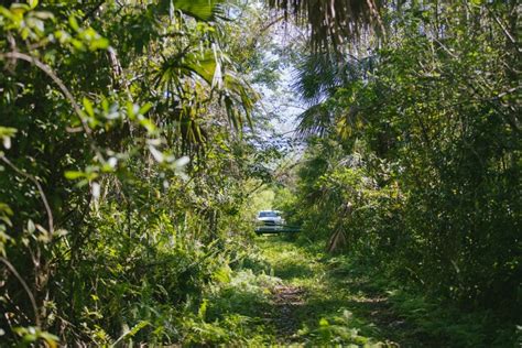 Hiking The Everglades Trails and Photographing Its Beautiful Environment