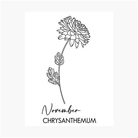 November Birth Flower Png - Image to u