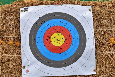 Free picture: achievement, archery, colorful, target, round, leisure ...