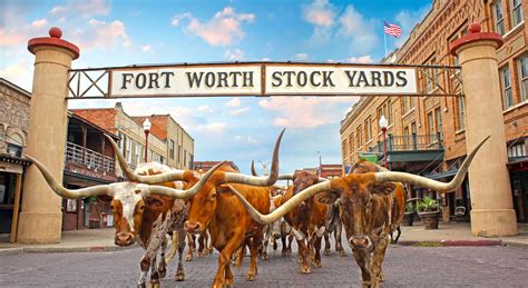 Fort Worth Texas lieux d'intérêt | Rodéo au Texas | Stockyards