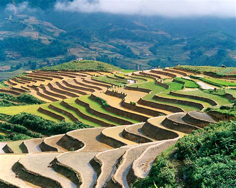 Sapa - Terraced rice paddies | Northern Vietnam Highlights T… | Flickr