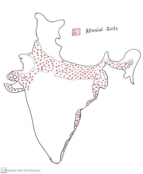 Alluvial soils | Classification of Indian Soil | UP-PCS | UPSC ...