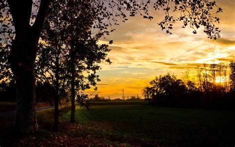 Autumn, field, trees, evening, sunset, beautiful scenery wallpaper ...