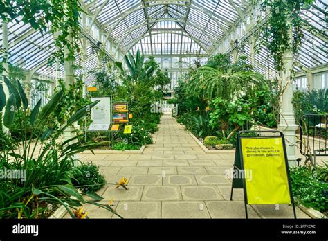 Interior of a glasshouse at Royal Botanical Gardens Kew during the ...